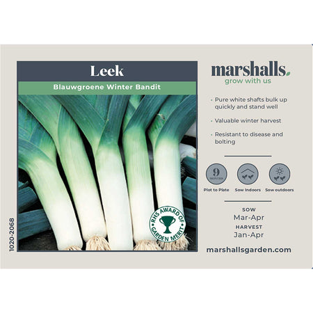Leek Seeds 'Early and Late Duo Pack'