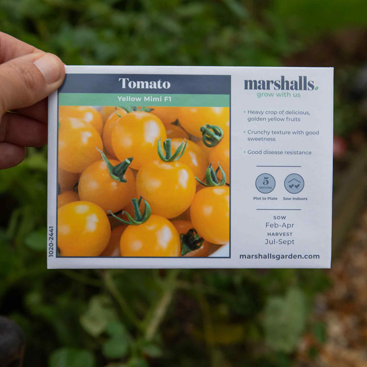 Tomato Seeds 'Yellow Mimi' F1