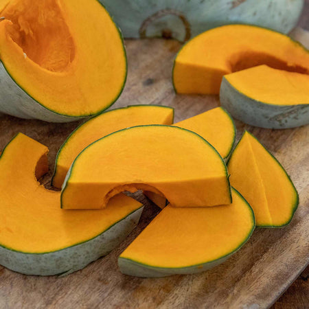 Pumpkin 'Crown Prince'