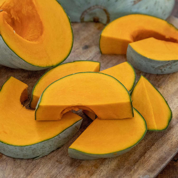 Pumpkin 'Crown Prince'
