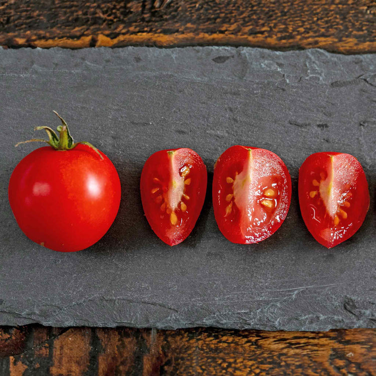 Tomato Seeds 'Summerlast' F1