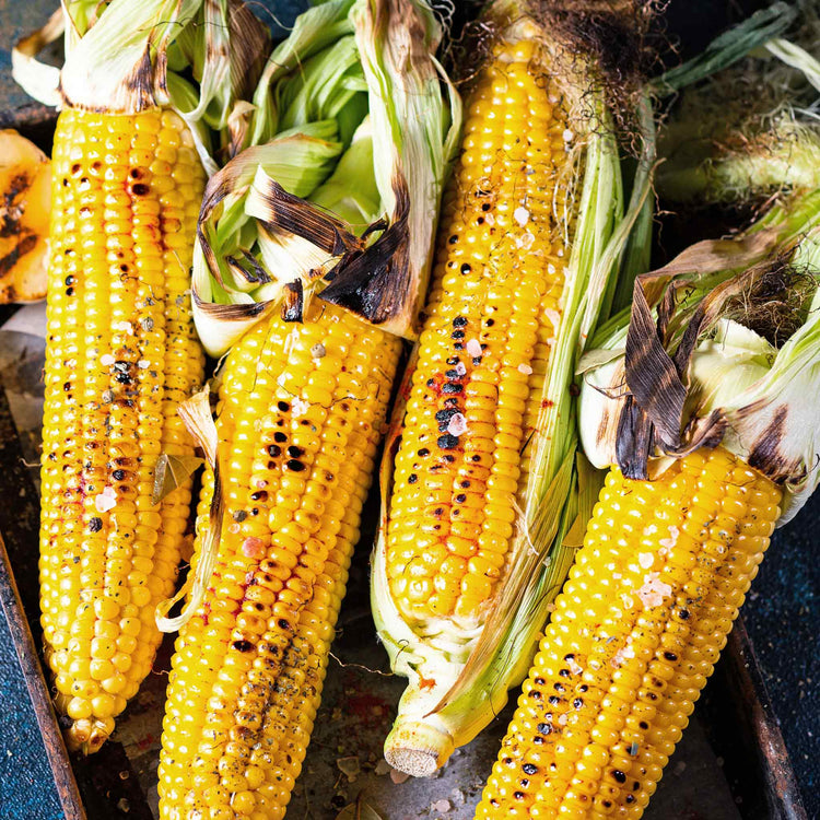 Sweetcorn Seeds 'Honeydew' F1