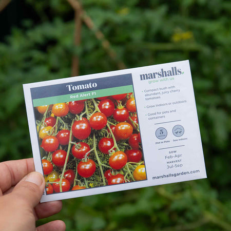 Tomato Seeds 'Red Alert' F1