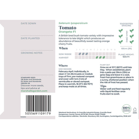 Tomato Seeds 'Orangeto' F1