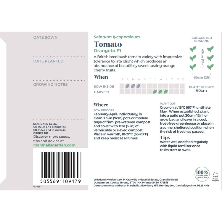 Tomato Seeds 'Orangeto' F1