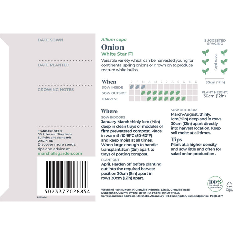 Onion Seeds 'White Star'