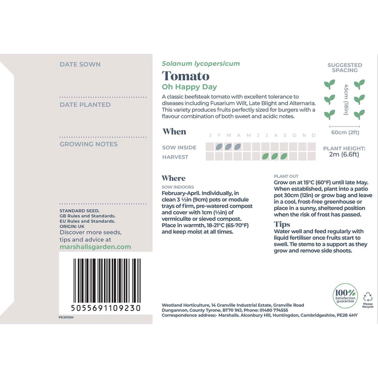 Tomato Seeds 'Oh Happy Day'