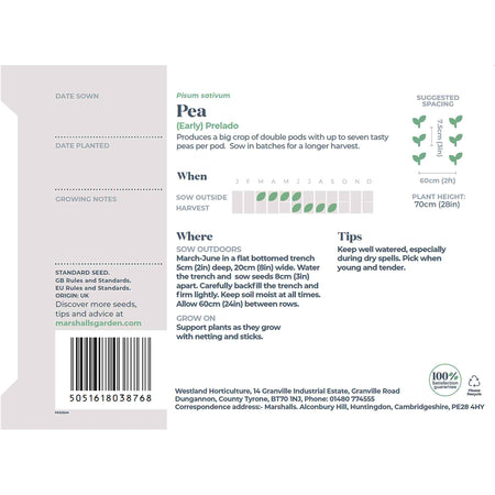  Pea Seeds 'Prelado'  