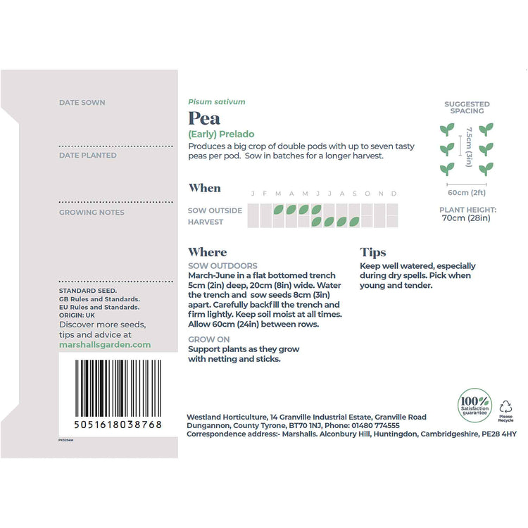  Pea Seeds 'Prelado'  