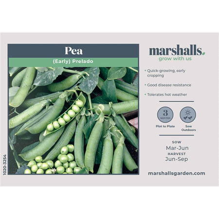  Pea Seeds 'Prelado'  