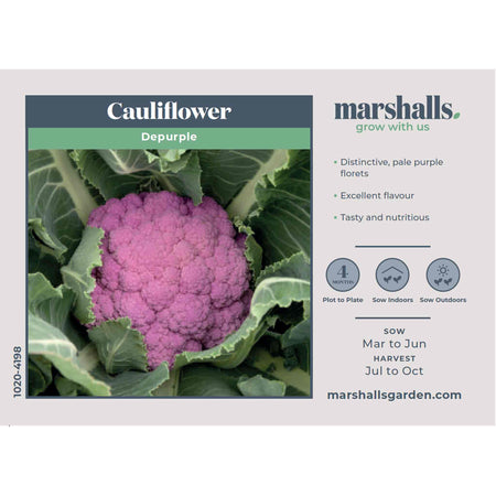 Cauliflower Seeds 'Depurple' F1