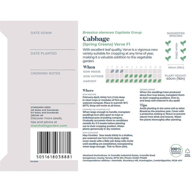 Cabbage Seeds 'Spring Greens Verve F1'