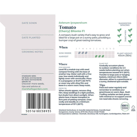 Tomato Seeds 'Cherry Bitonto' F1