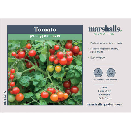 Tomato Seeds 'Cherry Bitonto' F1