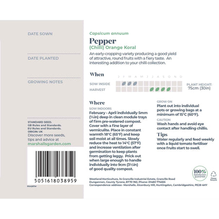 Chilli Pepper Seeds 'Orange Koral'