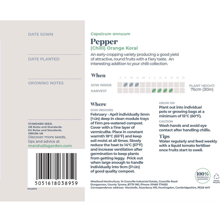 Chilli Pepper Seeds 'Orange Koral'