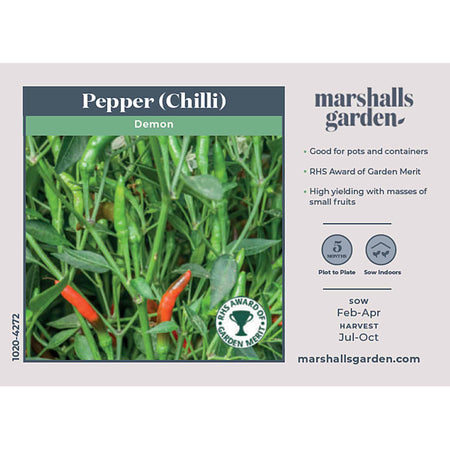 Chilli Seeds 'Demon'