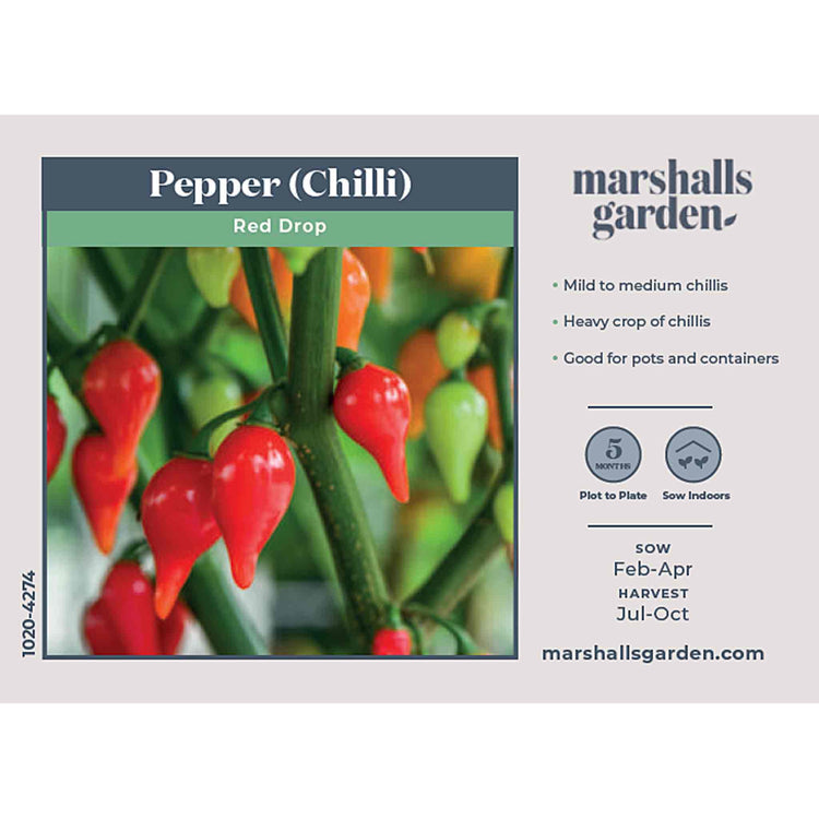 Chilli Seeds 'Red Drop'