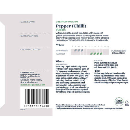 Chilli Seeds 'Vulcain'