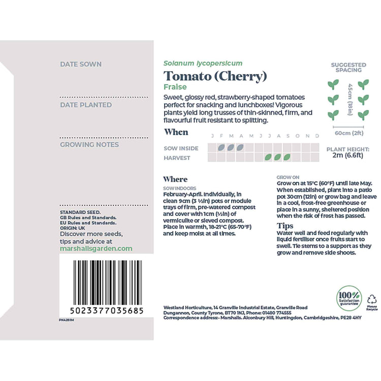 Tomato Seeds 'Fraise'