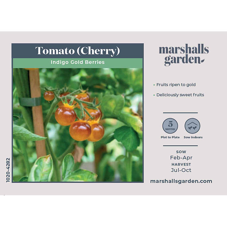 Tomato Seeds 'Gold Berries'