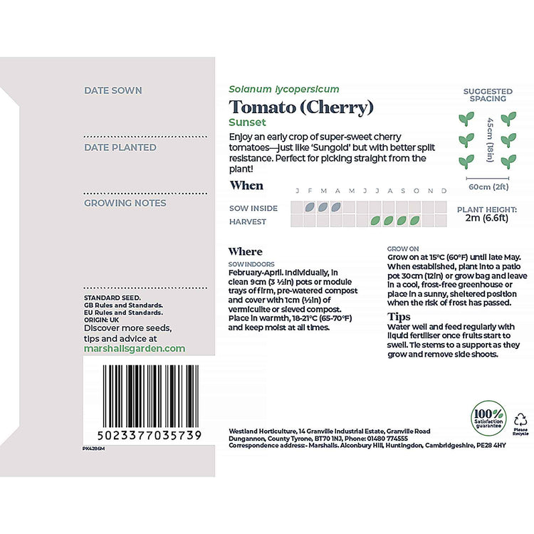 Tomato Seeds 'Sunset'