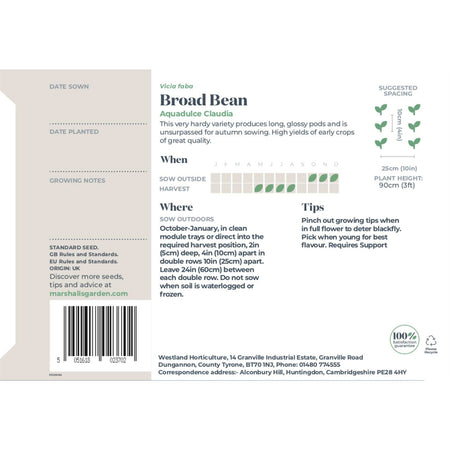Broad Bean Seeds Duo Pack
