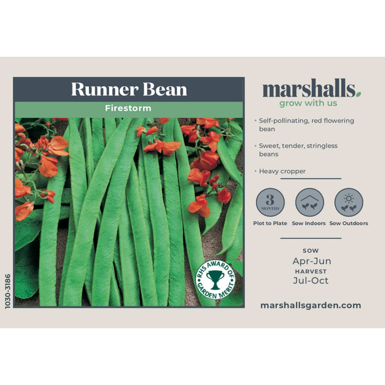 Runner Bean Seeds 'Firestorm' & 'White Lady' Duo