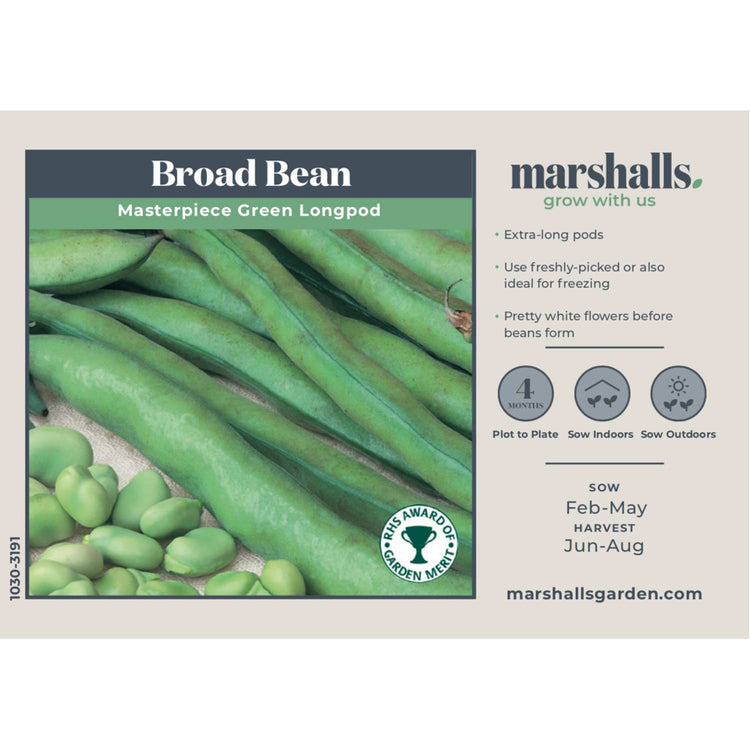 Broad Bean Seeds Duo Pack