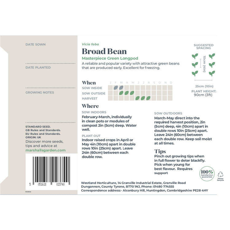 Broad Bean Seeds Duo Pack