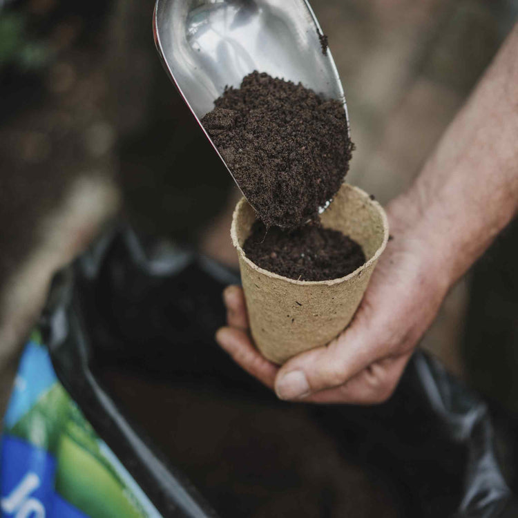 Westland John Innes Peat Free No.2 Potting On Compost 28L