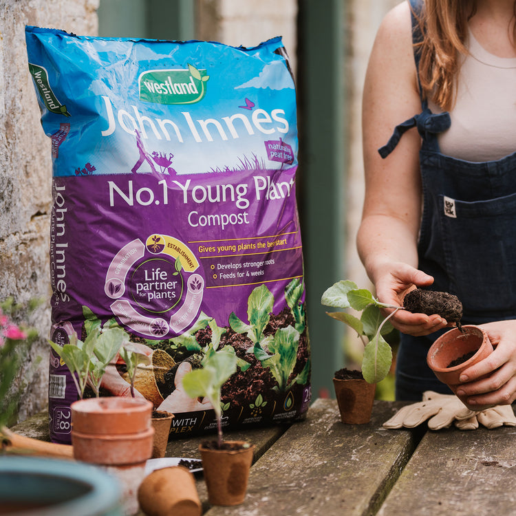 Westland John Innes Peat Free No.1 Young Plant Compost 28L