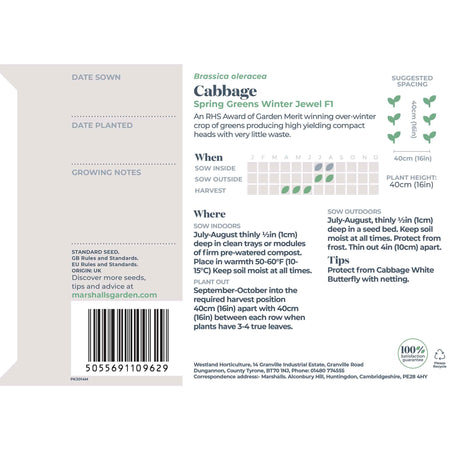 Cabbage Seeds Spring 'Winter Jewel'