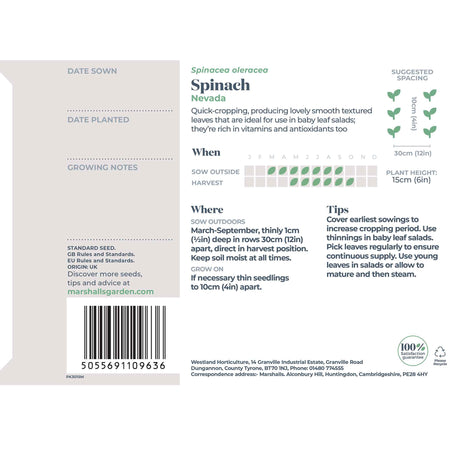 Spinach Seeds 'Perpetual' and 'Nevada' Duo Pack