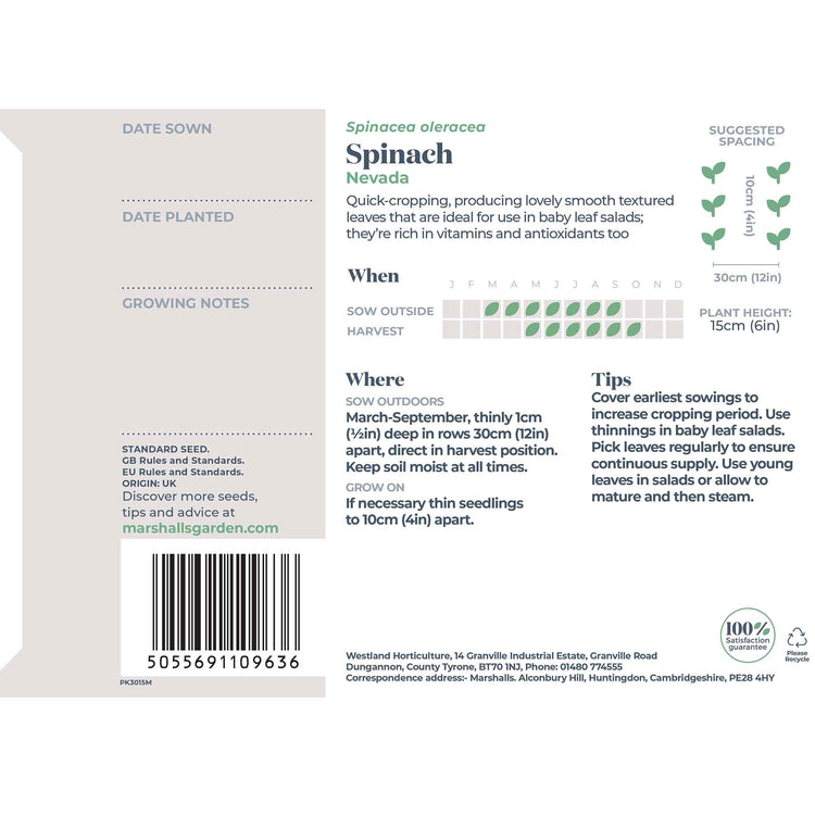 Spinach Seeds 'Perpetual' and 'Nevada' Duo Pack