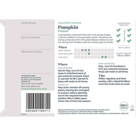 Pumpkin Seeds' Fireball'
