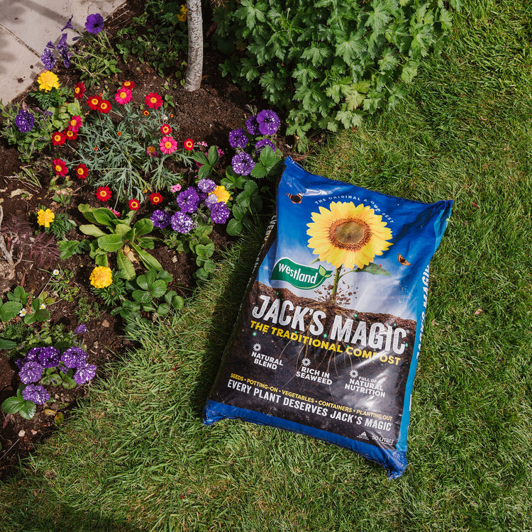 Westland Jack's Magic All-Purpose Compost 50L