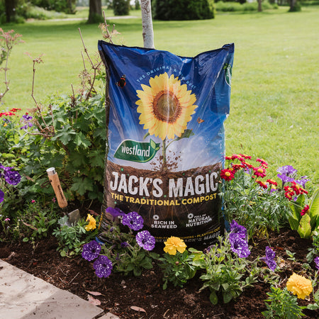 Westland Jack's Magic All-Purpose Compost 50L