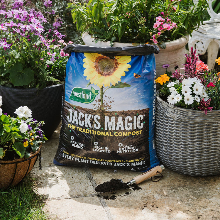 Westland Jack's Magic All-Purpose Compost 50L