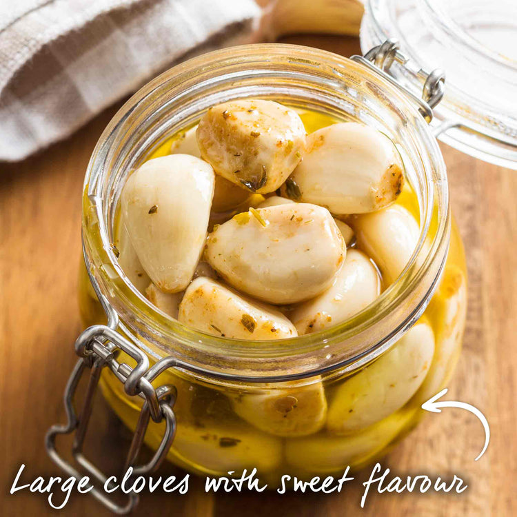 Garlic Long Store Duo (Autumn Planting)