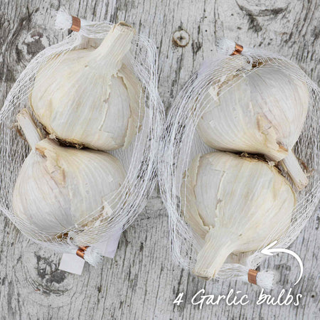 Garlic 'Wight' Duo Pack (Autumn Planting)