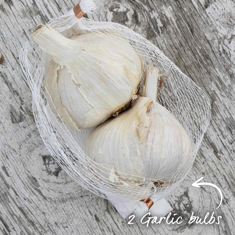 Garlic ‘Germidour’ (Autumn Planting)
