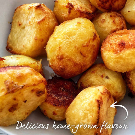 Seed Potato Christmas Harvest Collection