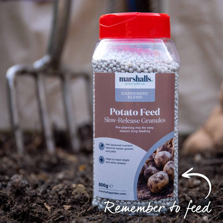Marshalls Garden Gardener's Favourites Potato Collection