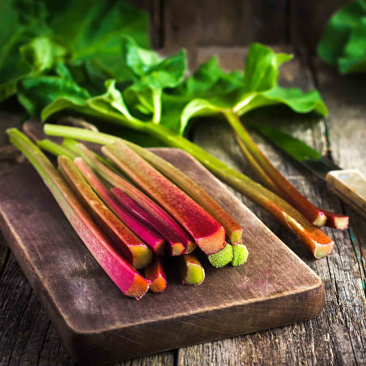Rhubarb Collection