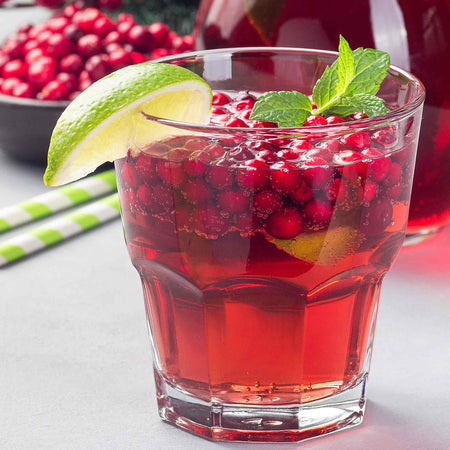Lingonberry Plant