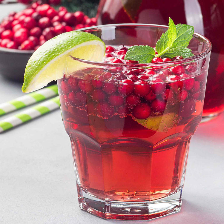 Lingonberry Plant