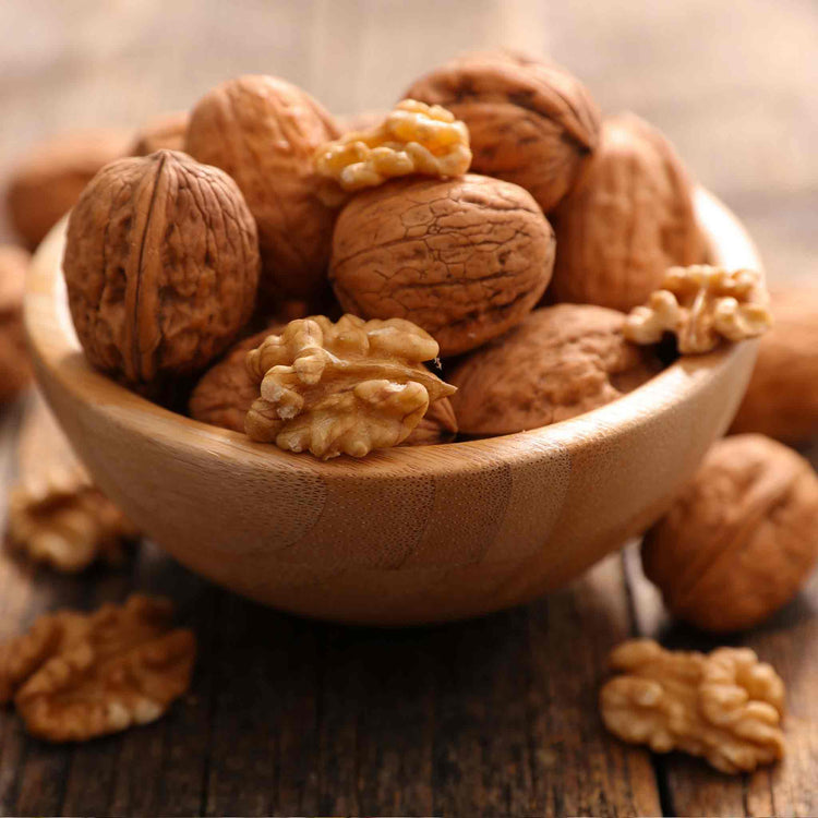 Walnut 'Common Walnut'