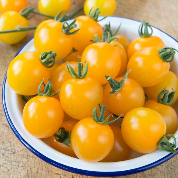 Tomato Seeds 'Yellow Mimi' F1