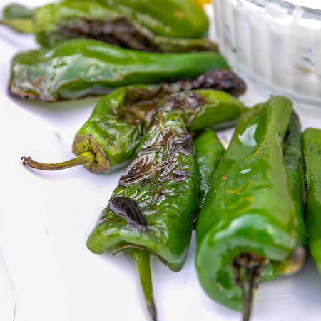 Chilli Pepper Seeds 'Padron'